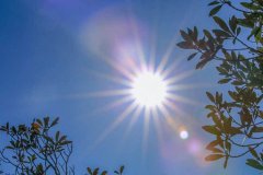 这也是一场独特的集体狂欢