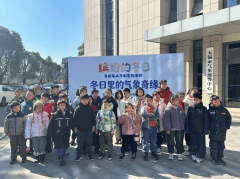 在专业讲解与互动体验中